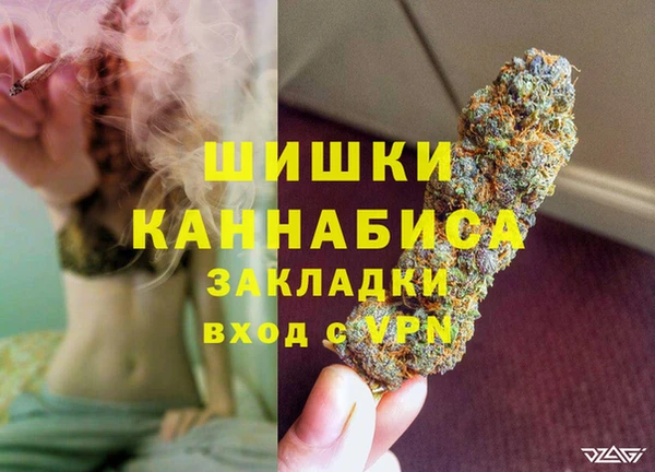 PSILOCYBIN Баксан