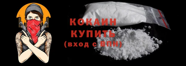 гидра Новозыбков