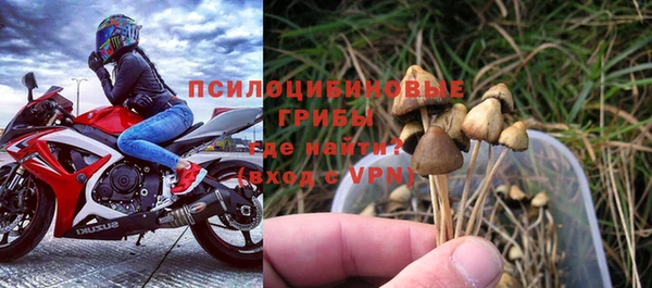 PSILOCYBIN Баксан