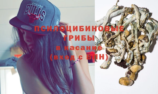 гидра Новозыбков
