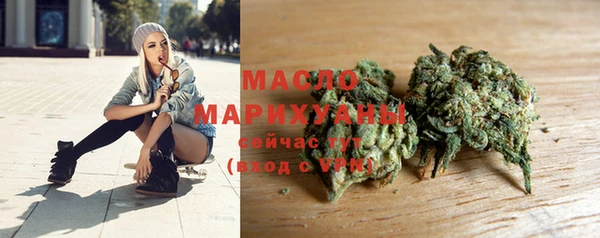 индика Нефтегорск