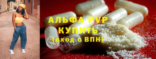 PSILOCYBIN Нефтекумск