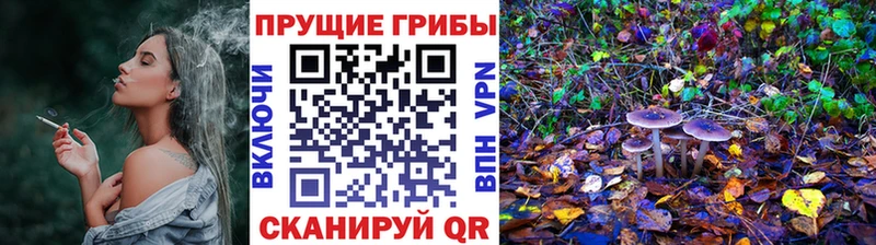 наркотики  Барнаул  Галлюциногенные грибы мухоморы 