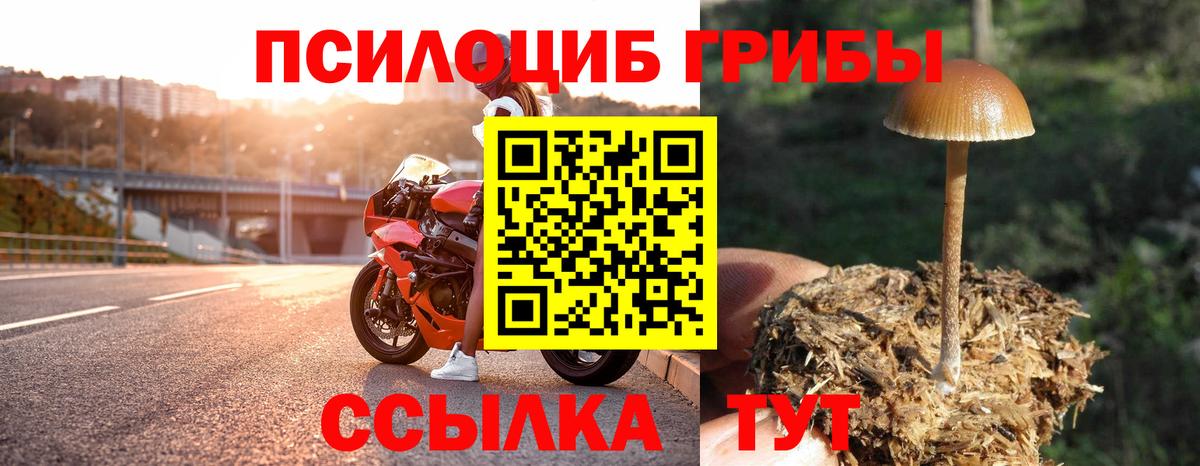Галлюциногенные грибы GOLDEN TEACHER Барнаул