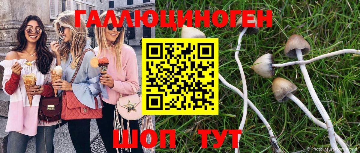 Барнаул  Псилоцибиновые грибы мухоморы  Псилоцибиновые грибы MAGIC MUSHROOMS  Вход с VPN 