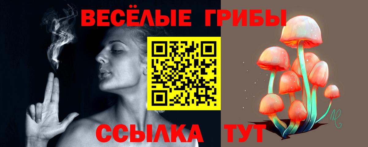 Псилоцибиновые грибы мухоморы Барнаул